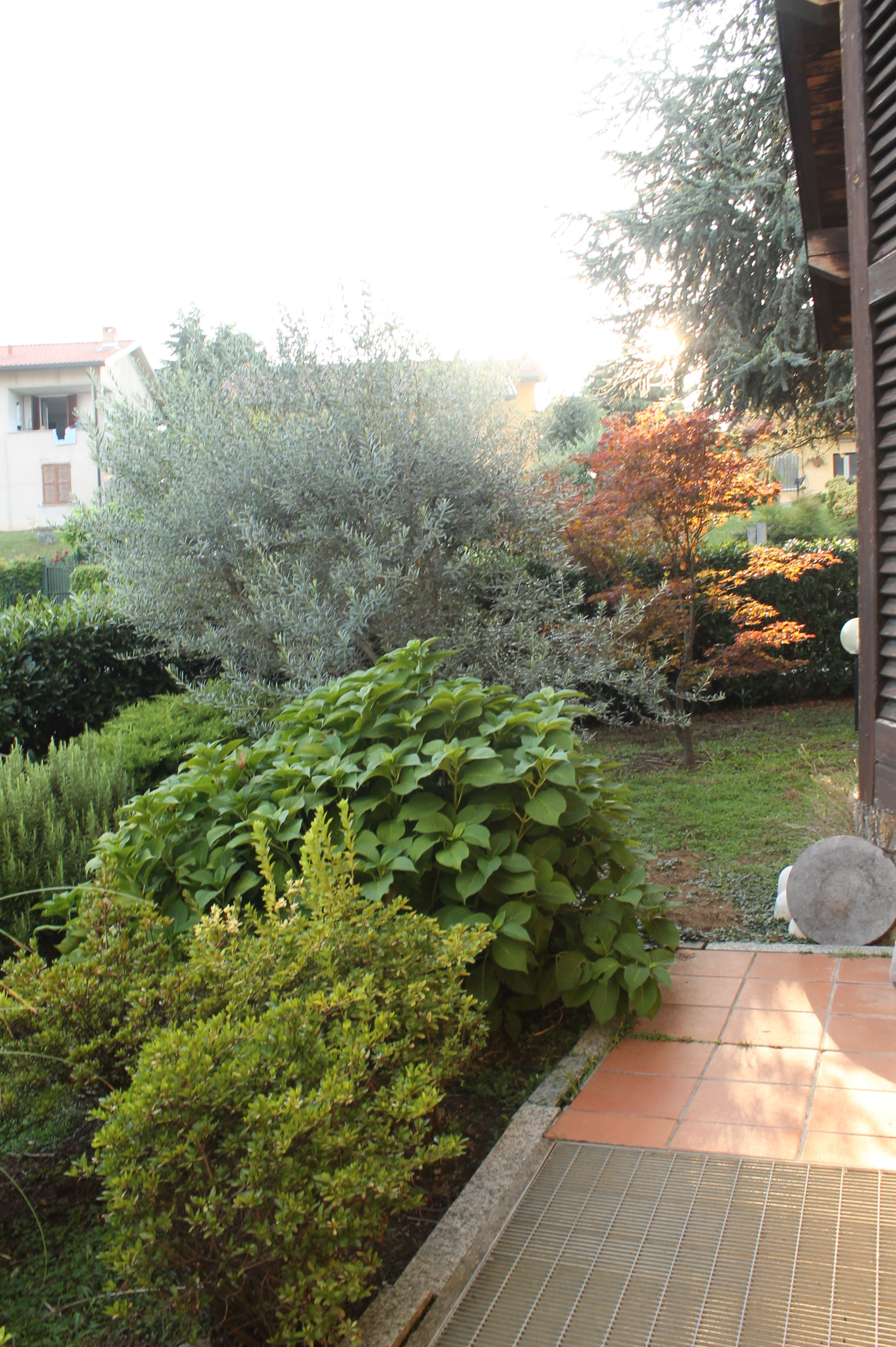 Foto20